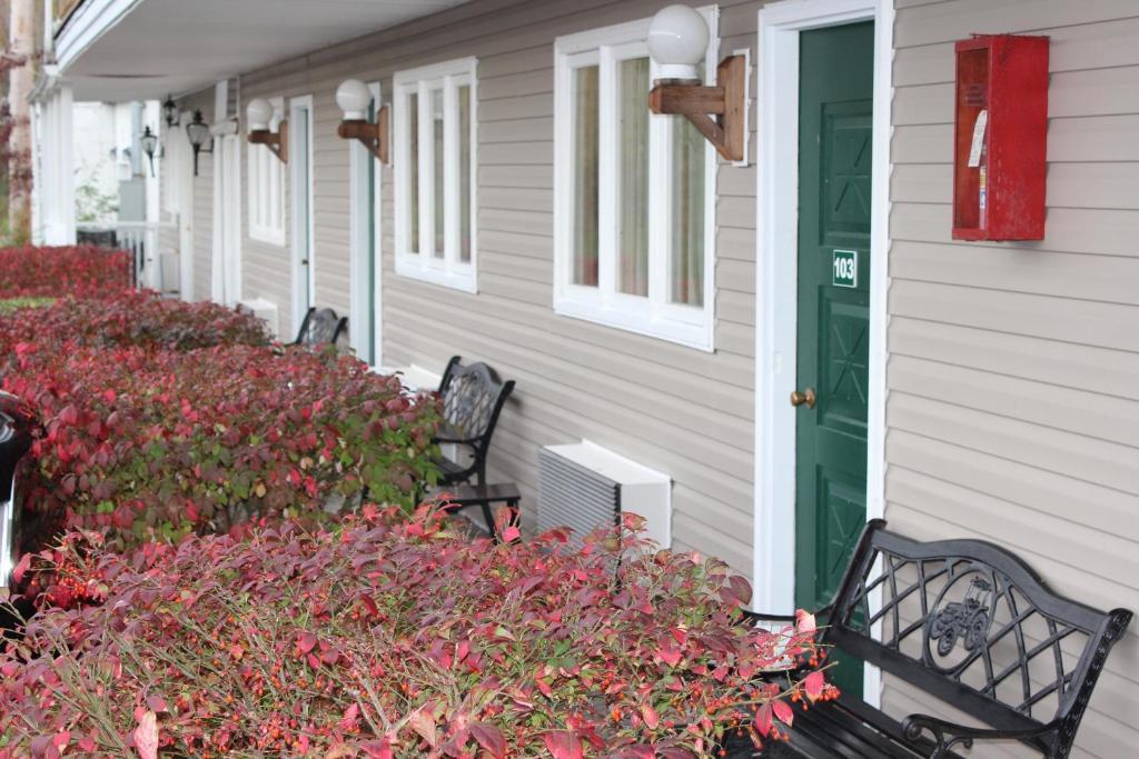 Berkshire Travel Lodge Canaan Exterior foto